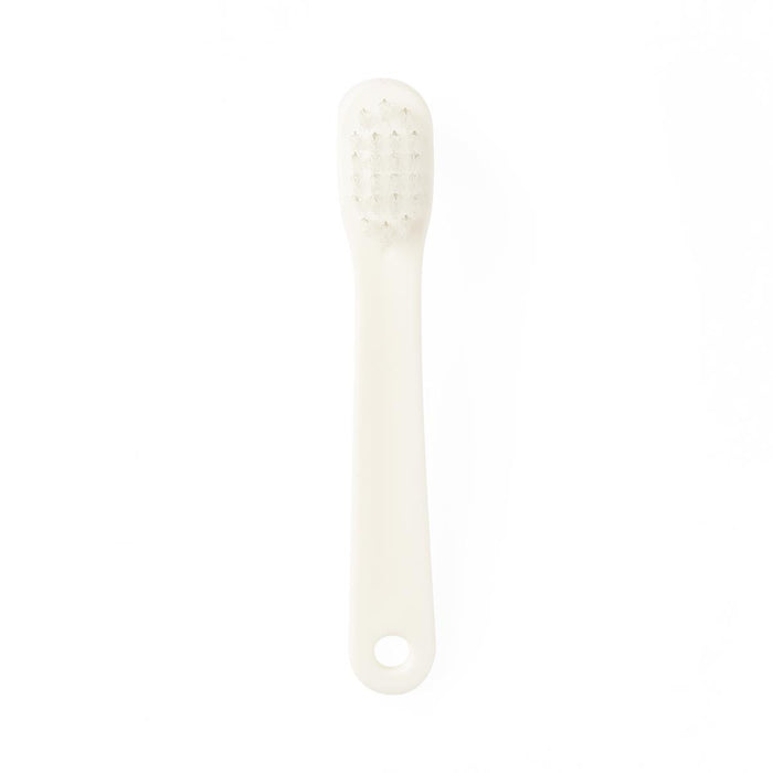 Denture Brush